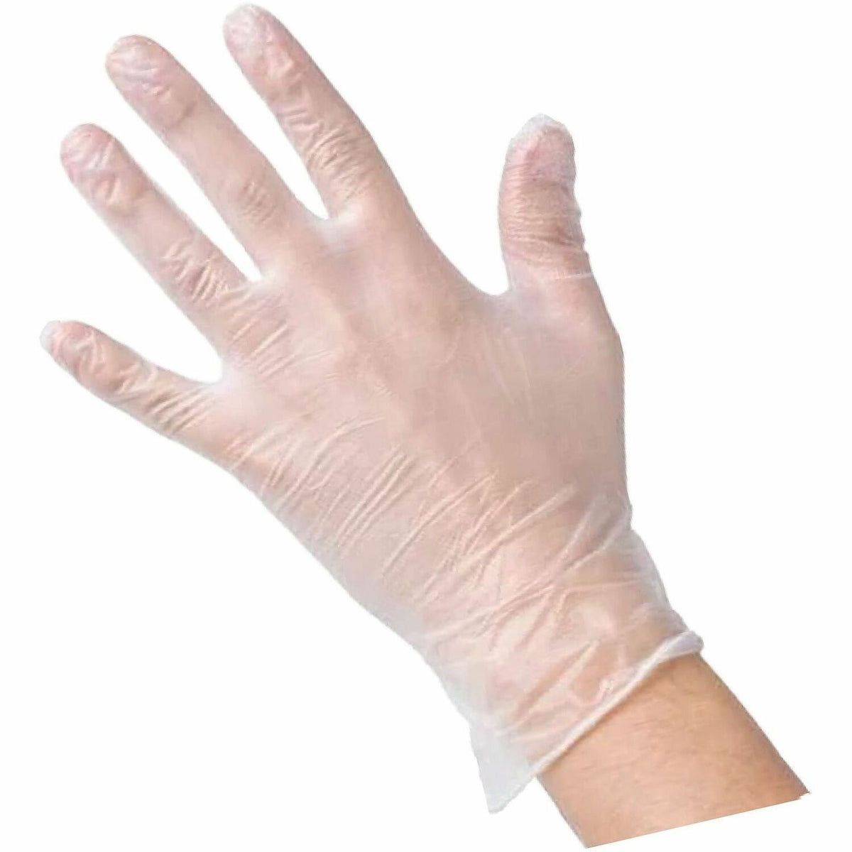 Genuine Joe Powder-Free Vinyl Gloves, Large, 10 Boxes/Case